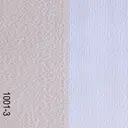 Fabric 1001-3