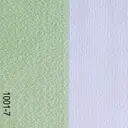 Fabric 1001-7